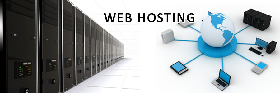 web-hosting-duoc-hieu-la-dich-vu-thue-khong-gian-tren-may-chu-internet-de-luu-tru-cac-thong-tin-cua-mot-website